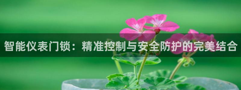 顺盈娱乐