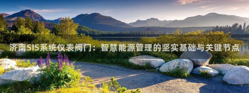 顺盈娱乐主管后原判官333OO