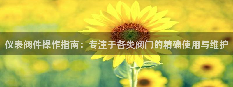 顺盈娱乐注册官网