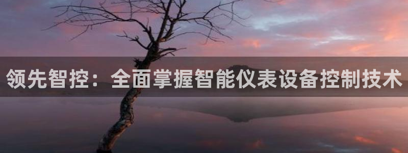 顺盈娱乐那家公司旗下