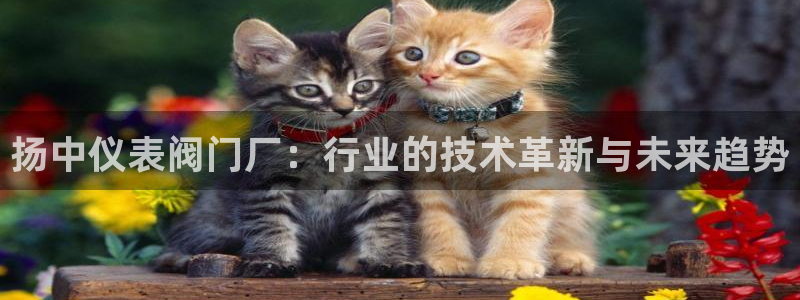顺盈娱乐登录平台下载