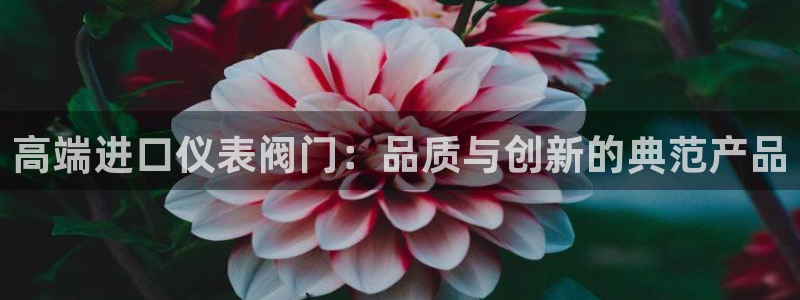 顺盈娱乐注册问一问