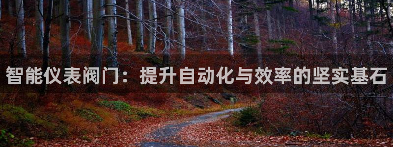 顺盈娱乐平台官网