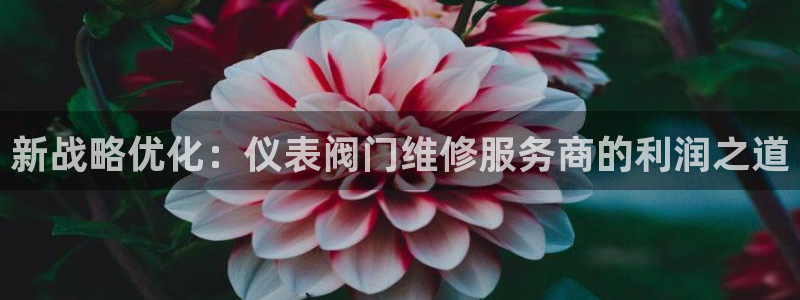顺盈娱乐登录网址