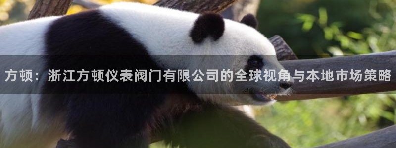 顺盈娱乐市究7276O