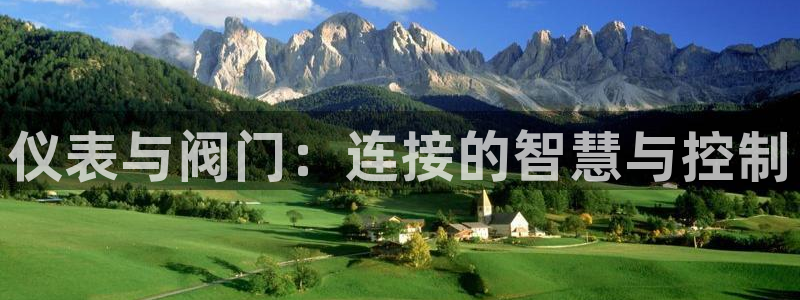 顺盈娱乐下载官网最新版
