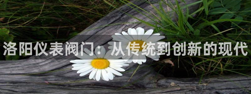 顺盈娱乐2