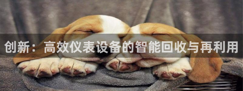 顺盈娱乐382223